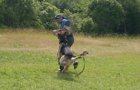 Training in Estonia 6/2007